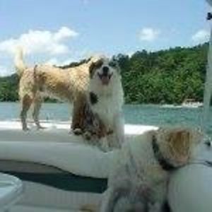 Meet your Posher, Karen